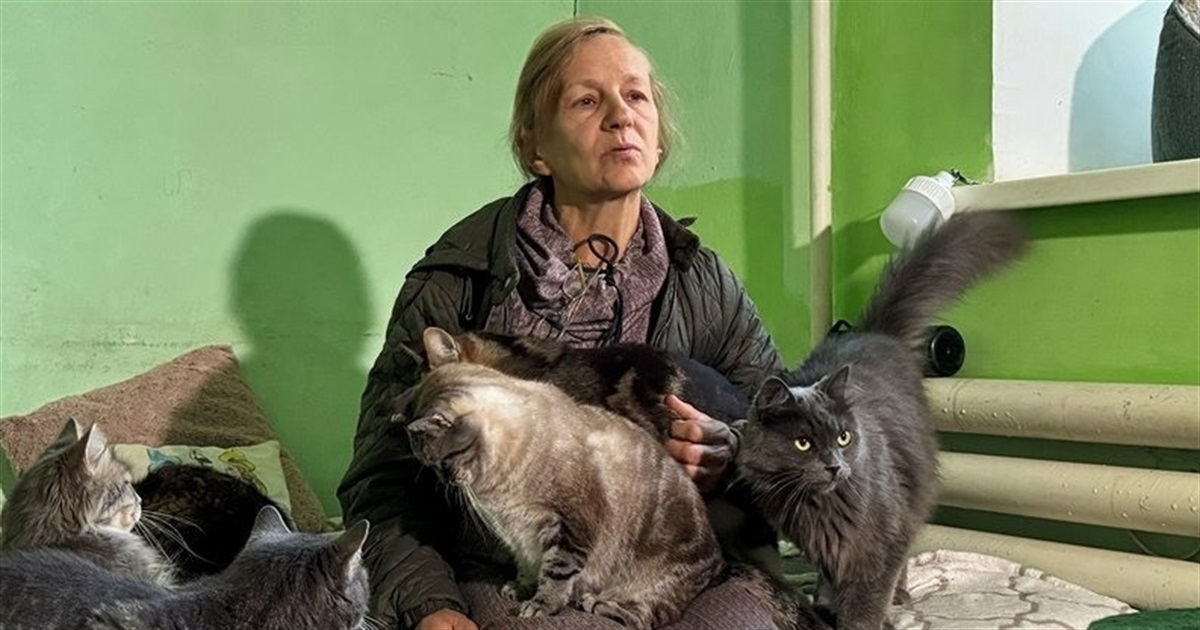 Боялася, що прилетить і вони всі згорять. Олена Костенко вивезла з Добропілля 50 котів і трьох собак