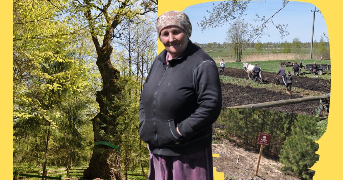 На межі району: як живе прикордонне село Березове на Сарненщині