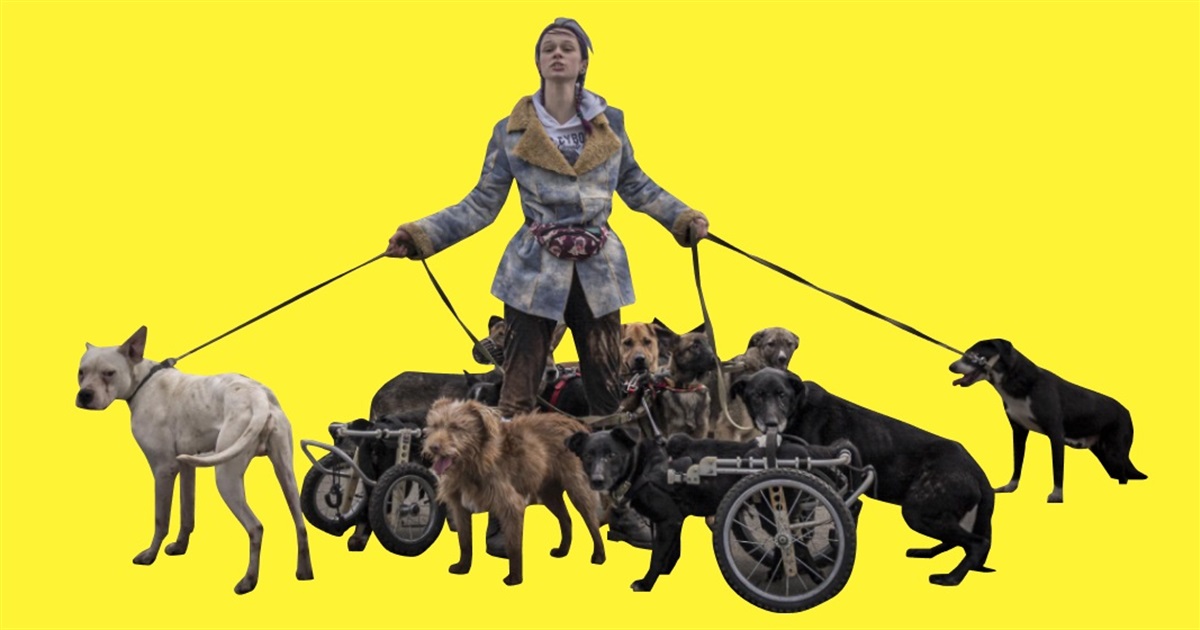We find stories that leave no one indifferent. How to order content from Svoi.Global team