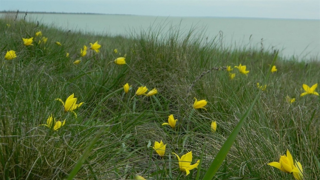 Готові нові пазли! Гайда до розваг з Мелітополь.Сіty!