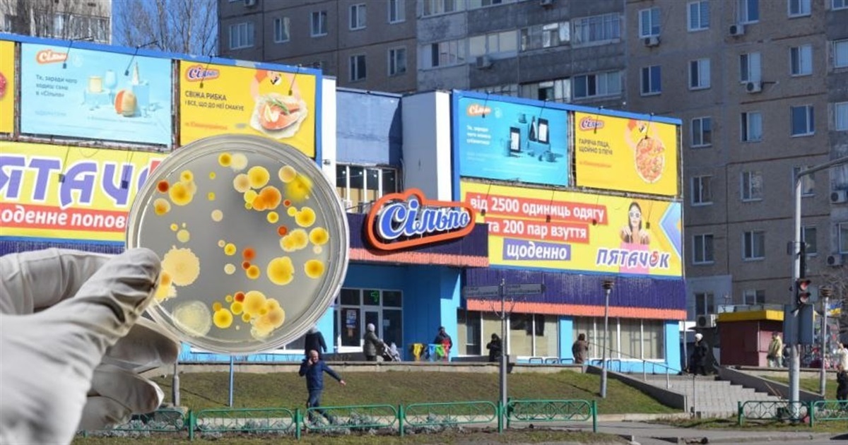 У супермаркеті «Сільпо» в Южноукраїнську виявлено захворювання на сальмонельоз. Відео