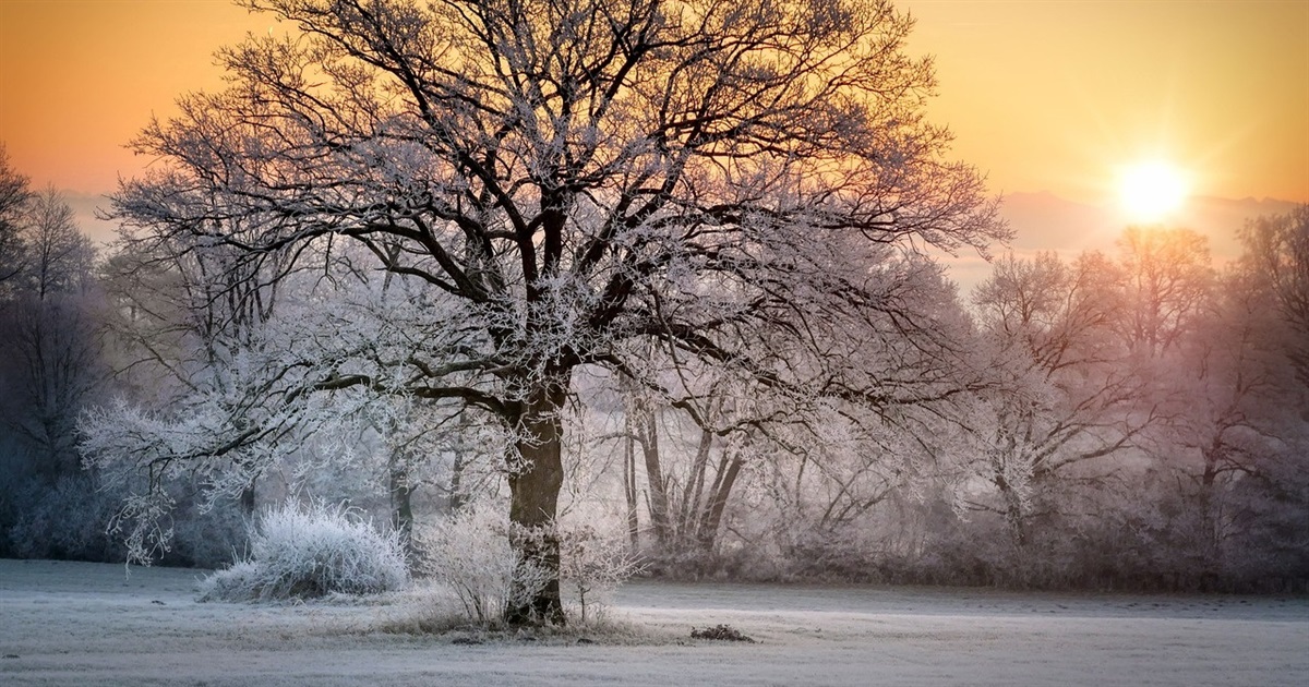 Найближчими днями на Сумщині ожеледиця та без істотних опадів: прогноз погоди