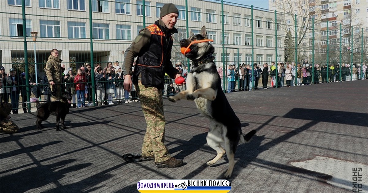 Гвардійські кінологи завітали до школярів Вараша