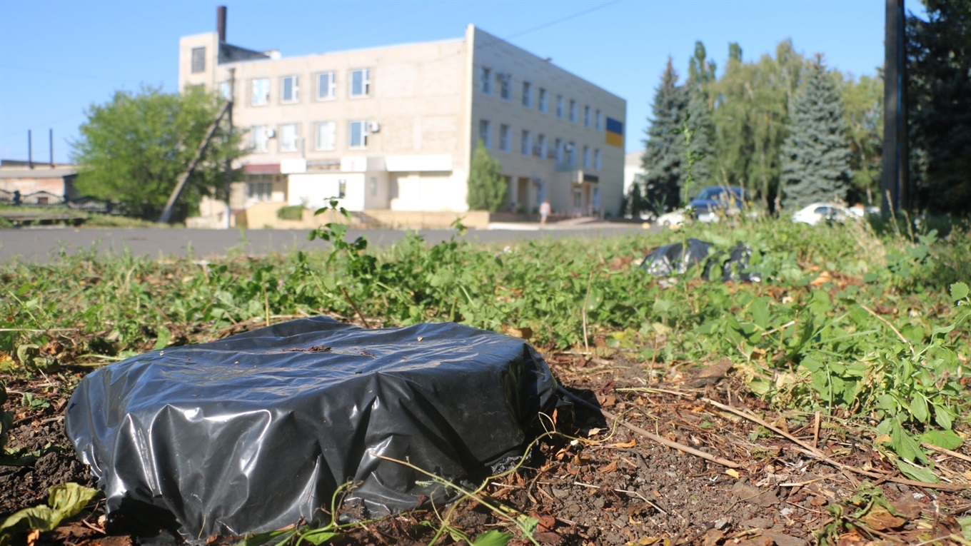 В Попасной уничтожают пни деревьев, не выкорчевывая их: как это делают