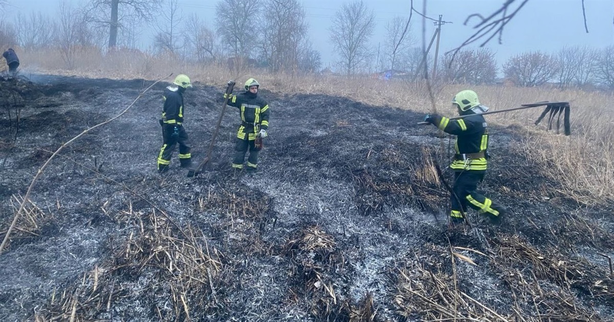 Дві пожежі на Переяславщині: горіла суха трава та очерет біля річки