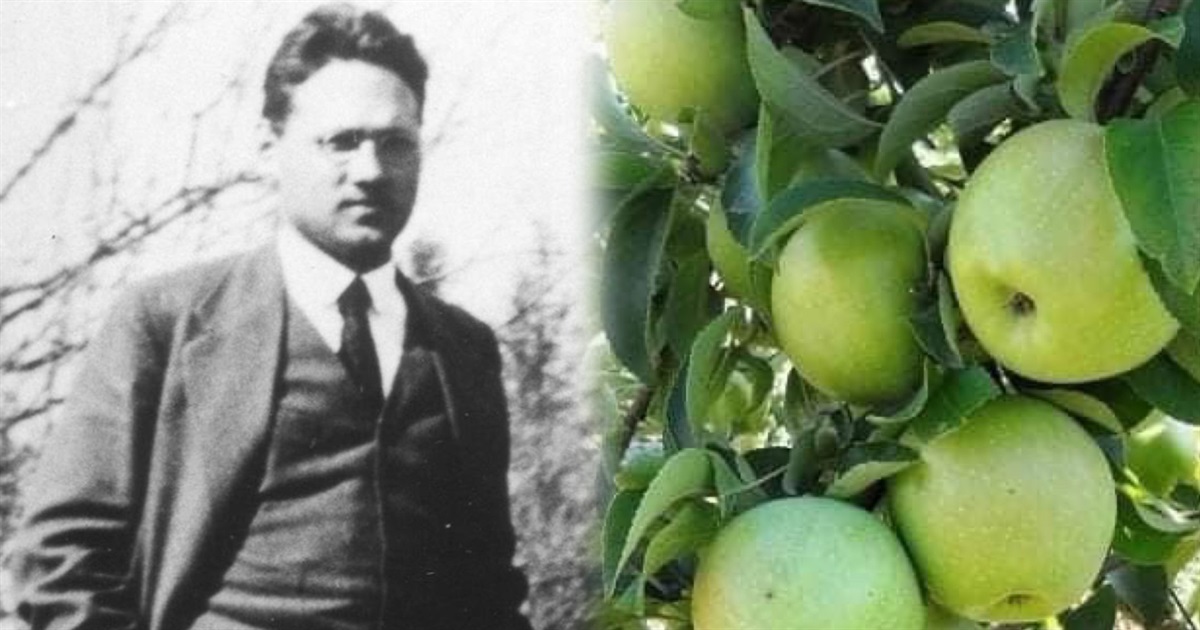 Яблука Симиренка: видатного українського селекціонера радянське НКВД засудив до розстрілу за доносом