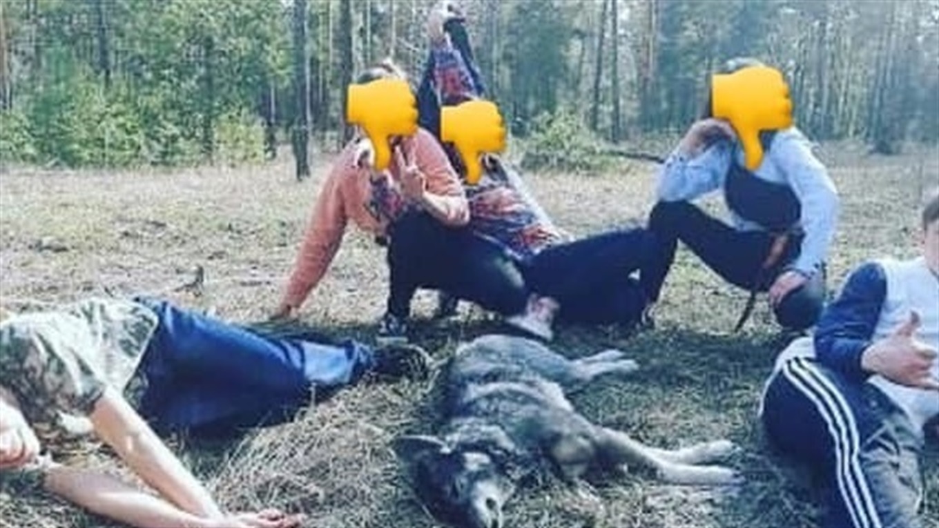 В Лисичанске дети позировали на фоне убитой собаки. Почему мне не все равно, когда вижу такое