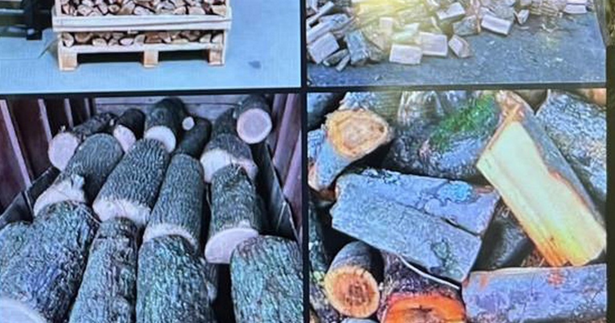 Продавав не дрова, а повітря: житель Ізмаїла, перебуваючи в СІЗО, організував шахрайський бізнес