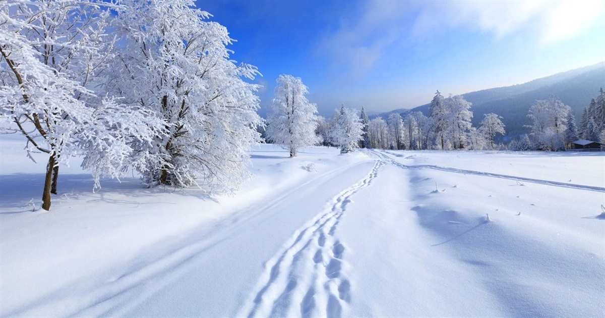 Вночі морози на Сумщині сягнуть 17-22 градусів: прогноз погоди