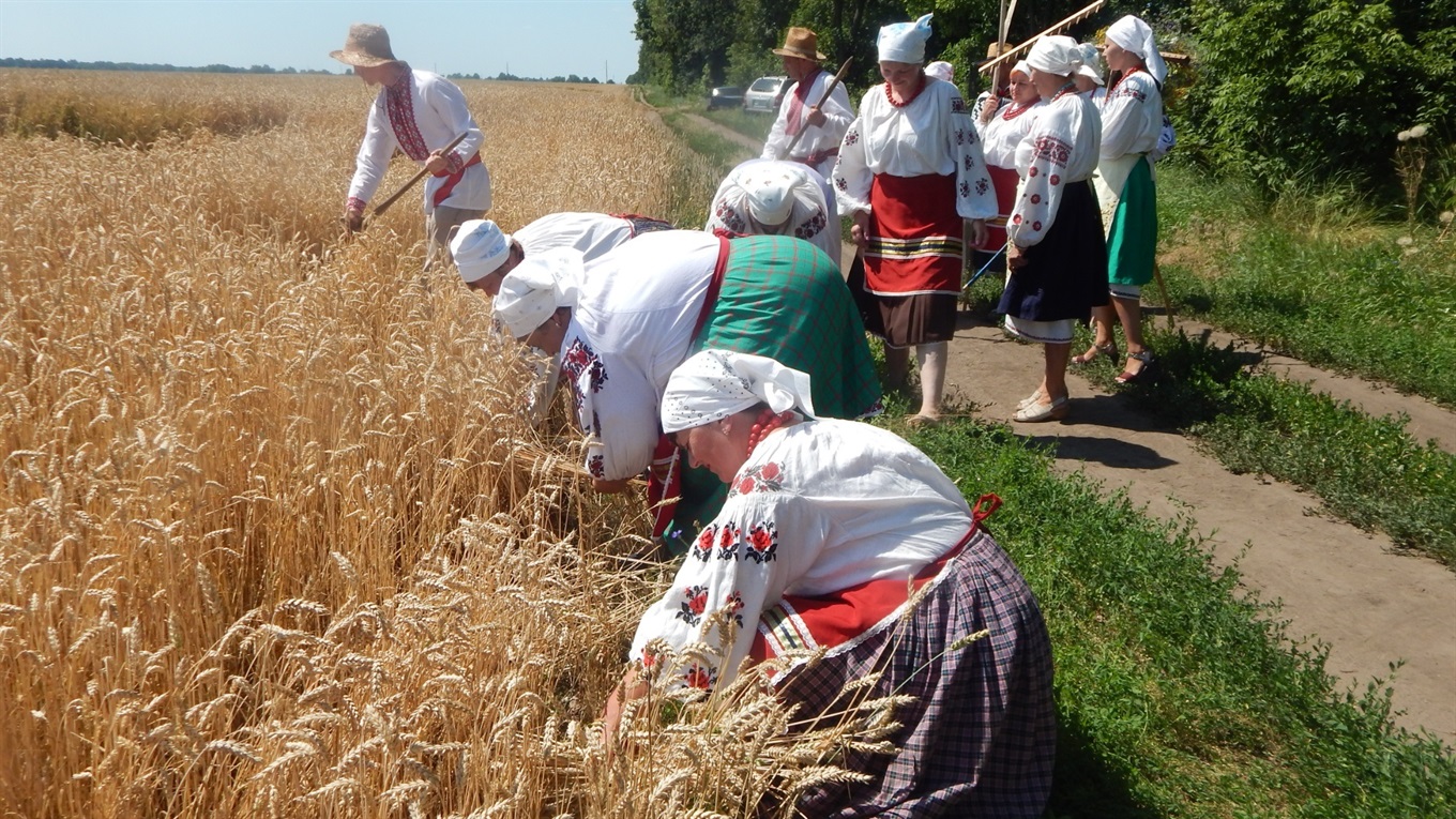На Переяславщині провели "зажинки": на етносвято прибули чемпіони України, народні артисти та ICTV