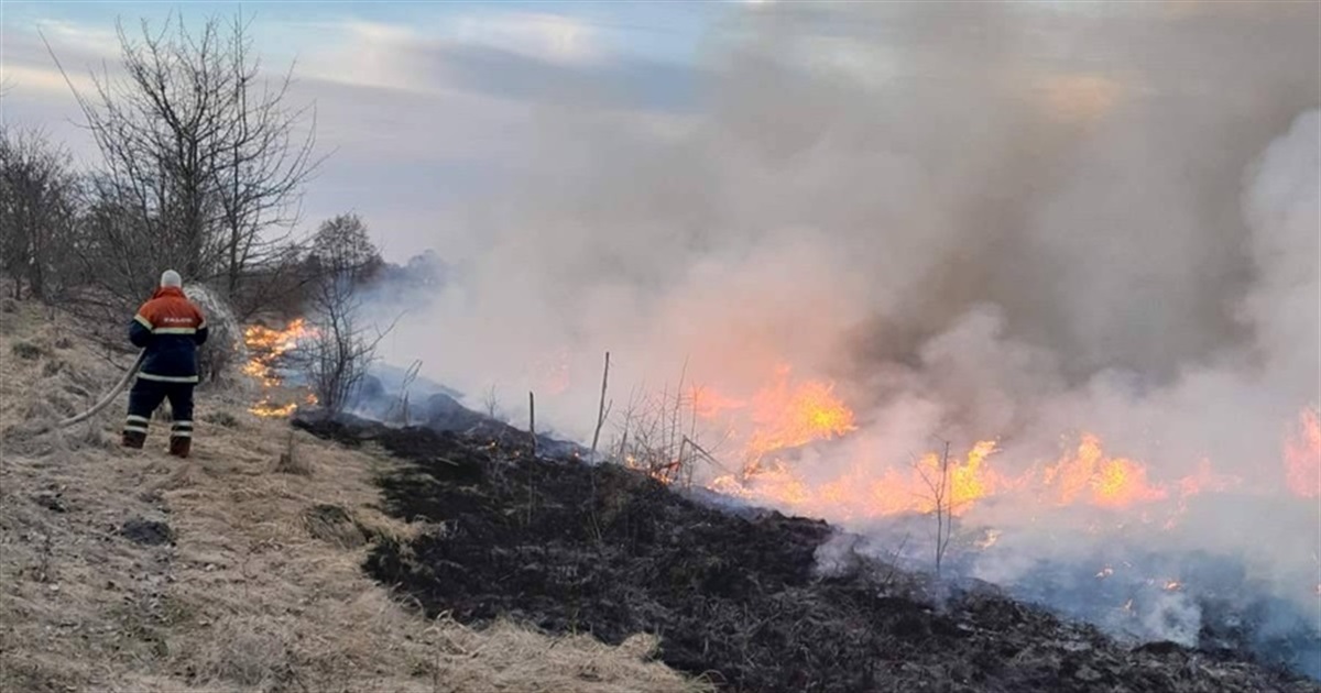 Не допомагайте ворогу — не паліть траву: рятувальники змушені виїжджати на гасіння сухостою