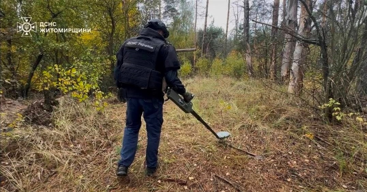 Піротехніки ДСНС виявили та знищили вибухонебезпечний предмет на Житомирщині