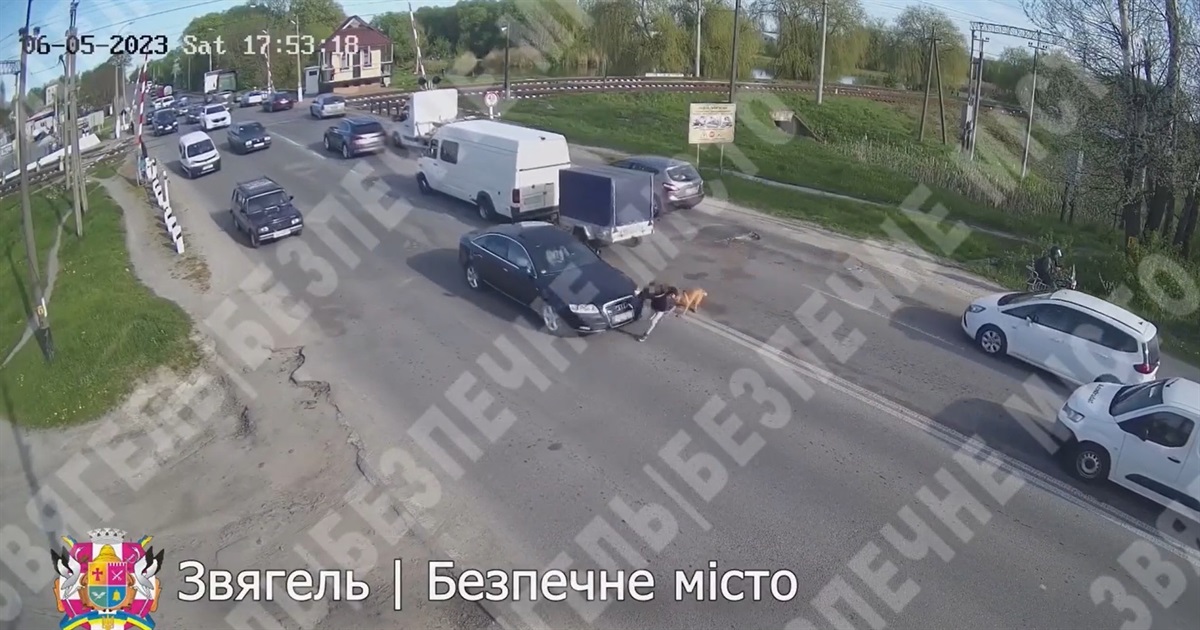 У Звягелі показали відео, як автівки збили чоловіка та хлопця, які перебігали дорогу