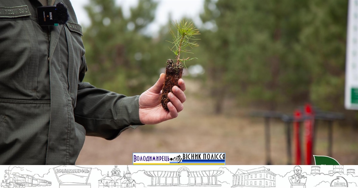 Керівники Рівненщини та ДП «Ліси України» відвідали знищені ліси Володимиреччини