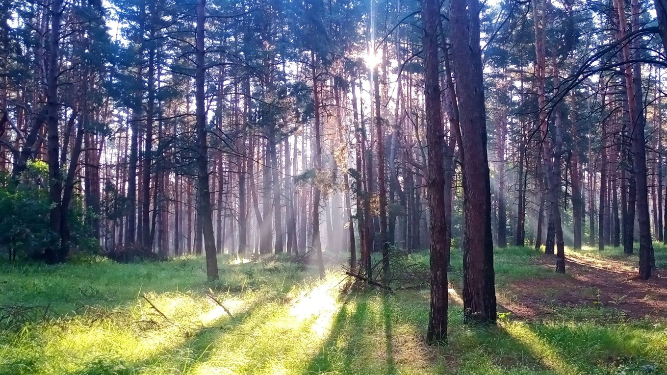 На Золотоніщину прийде європейський антициклон. З другої половини червень порадує справжнім теплом