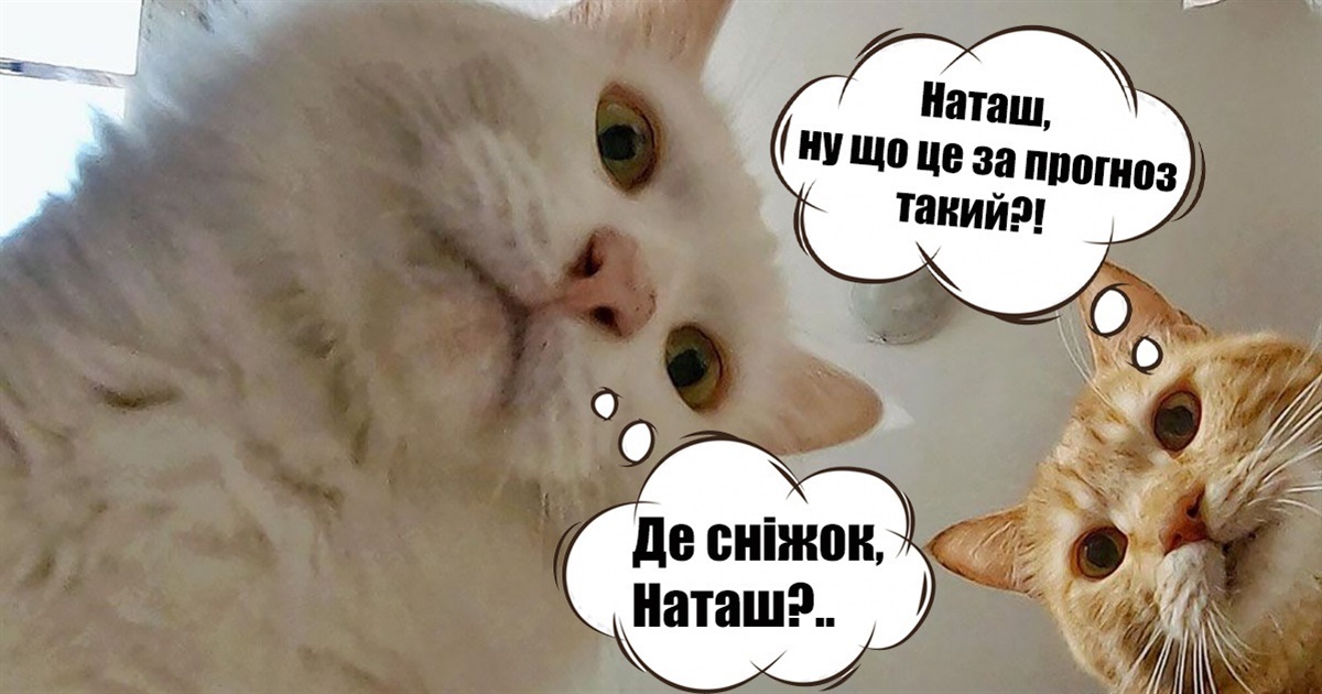 Найближчими днями синоптики Сумщини прогнозують туман і плюси