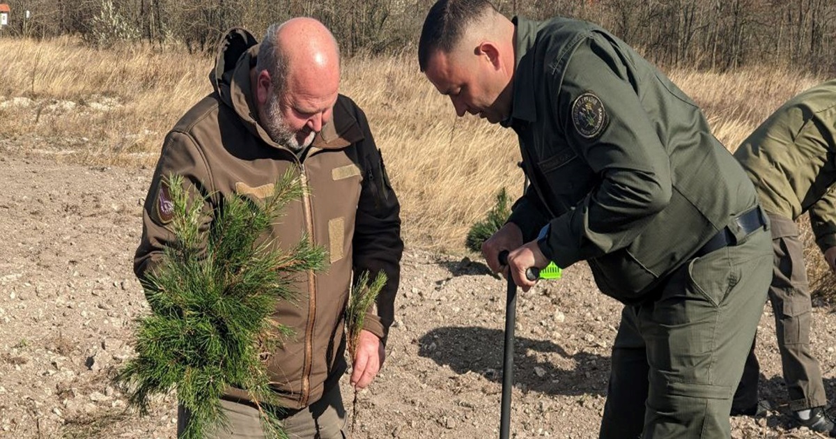 В Україні запустили реформу лісової галузі. «О, море» пояснює, як вона працює на Півдні