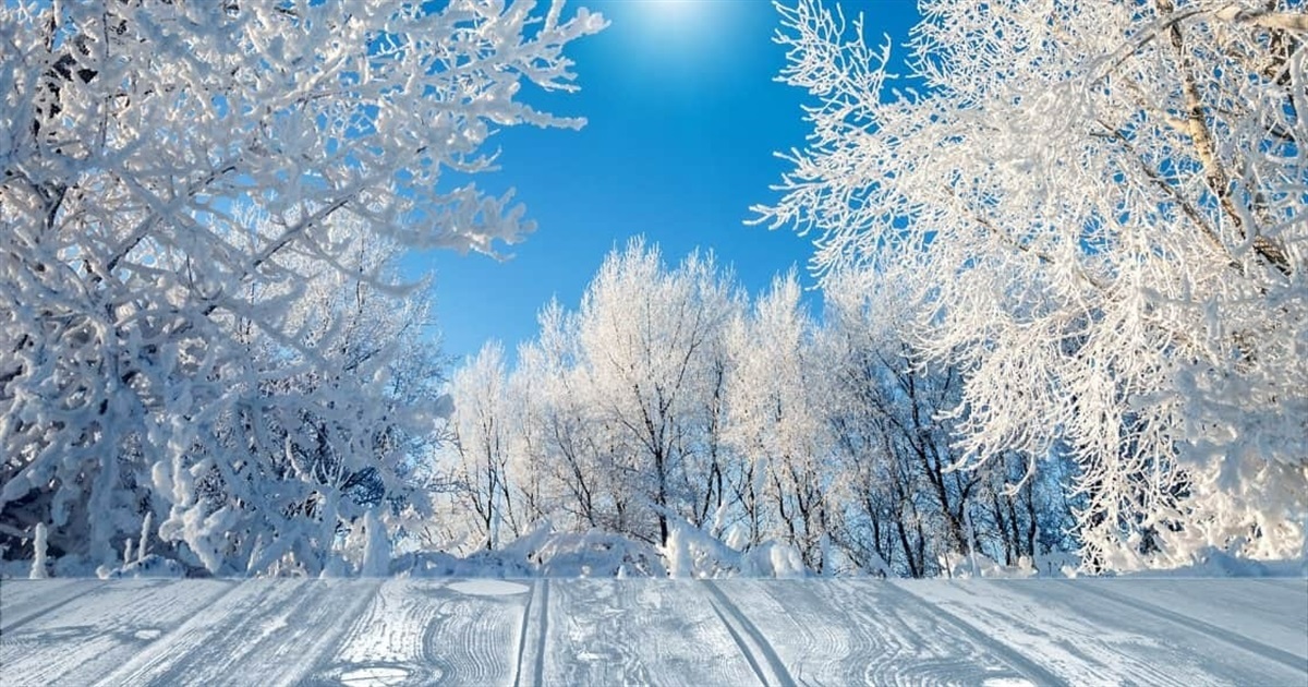 На вихідних уночі - до мінус 18. З понеділка почне теплішати та пройде невеликий сніг із дощем