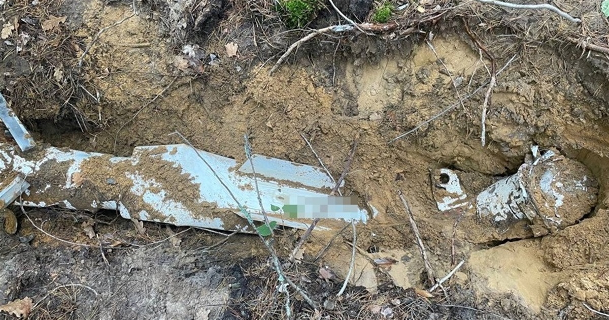 У лісі на Житомирщині виявили російську ракету