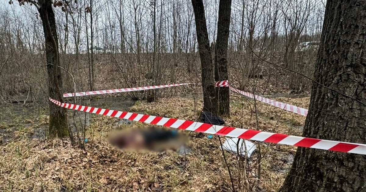 Двоє жителів Житомирщини на замовлення росіянина вбили приятеля за 30 тисяч, а потім – незнайомця