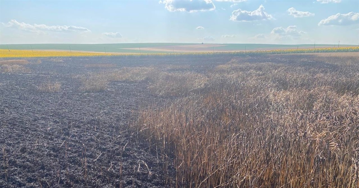 Три пожежі за два дні: на Сатанівеччині вогонь знищив три гектари пшениці
