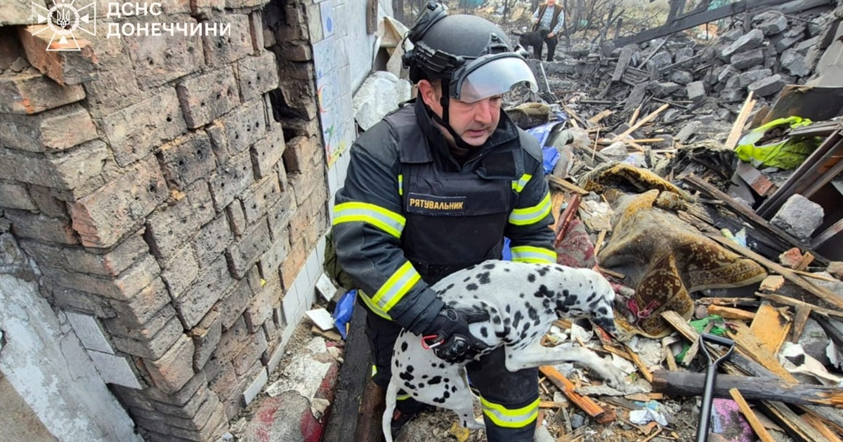 У Добропіллі рятувальники витягли з-під завалів собаку. Пес вижив після авіаудару — деталі