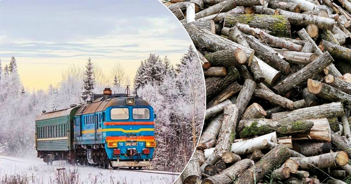 Залізниця попереджає: за самовільну рубку дерев – кримінальна відповідальність