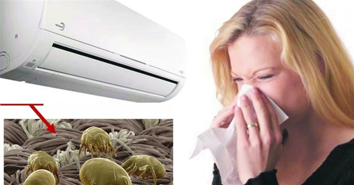 Хвороба легіонерів або легіонельоз – недуга сучасного суспільства в гонитві  за комфортом – Кіцмань.City