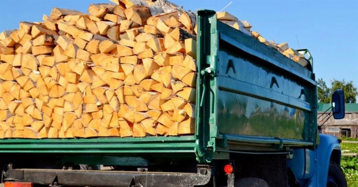 Жителі прикордонних громад вже отримують безкоштовні дрова: яка ситуація на Чернігівщині