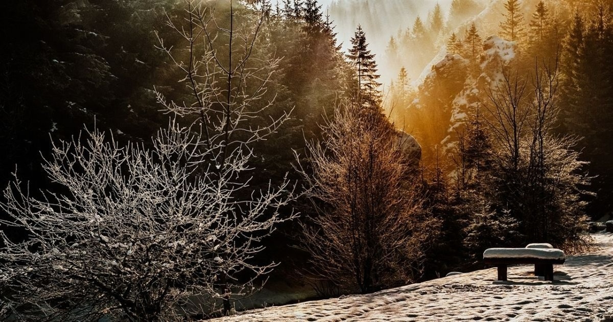 У понеділок на Сумщині - сніг та ожеледь: прогноз погоди від синоптиків