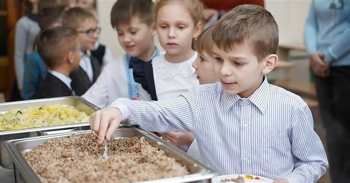 34 тендери за 20 днів: освіта Городка витратить понад три мільйони на продукти