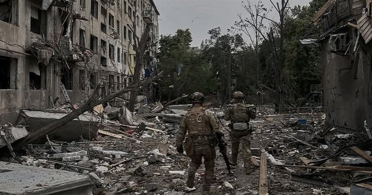 Люди у Покровську полюють на голубів і зайців. Просто щоб не померти з голоду
