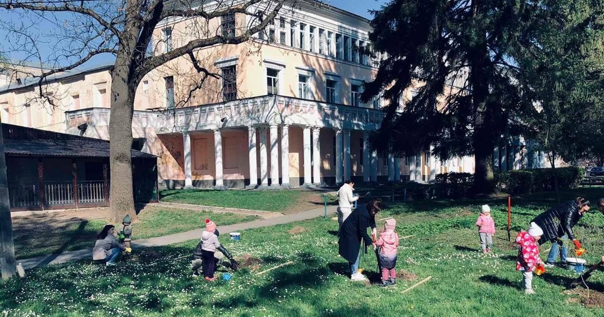 Маленькі звягеляни висадили саджанці дерев у Парку захисників України