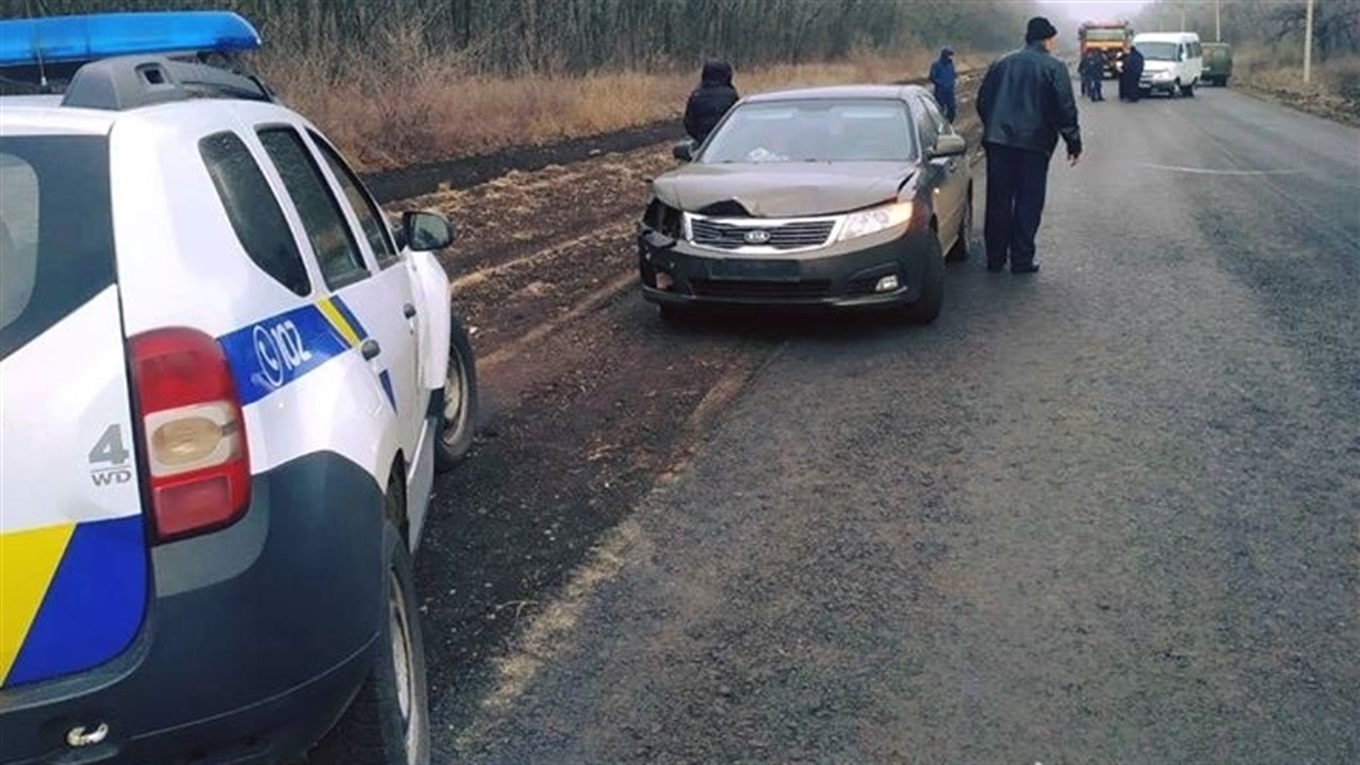 У Волноваському районі водій збив косулю 