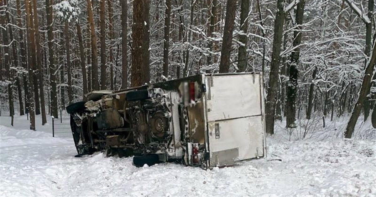 Житель Звягельського району на автівці з’їхав у кювет та перекинувся на Коростенщині