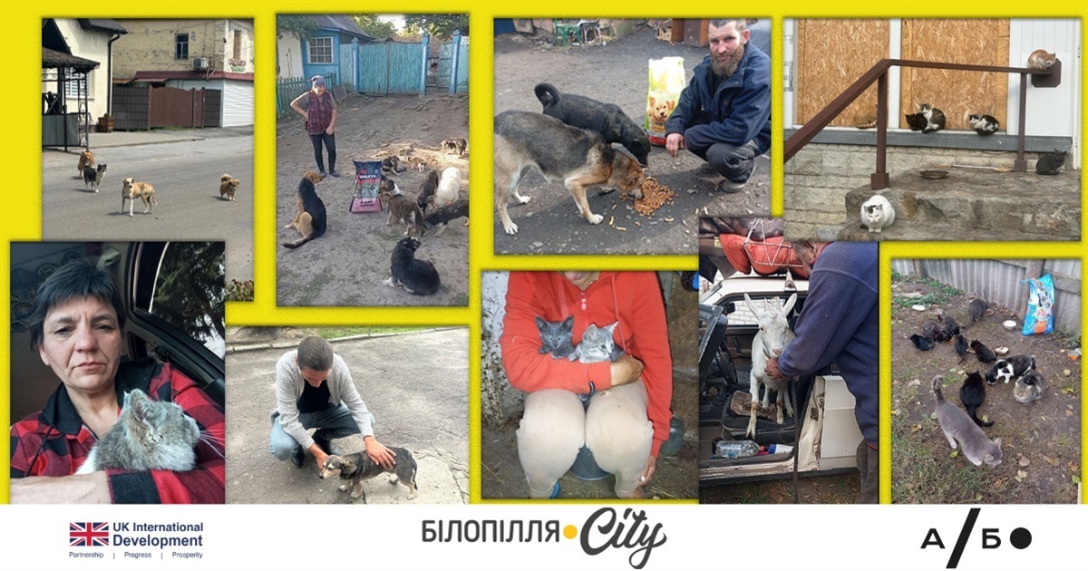 Кинути тварину — це зрадити друга
