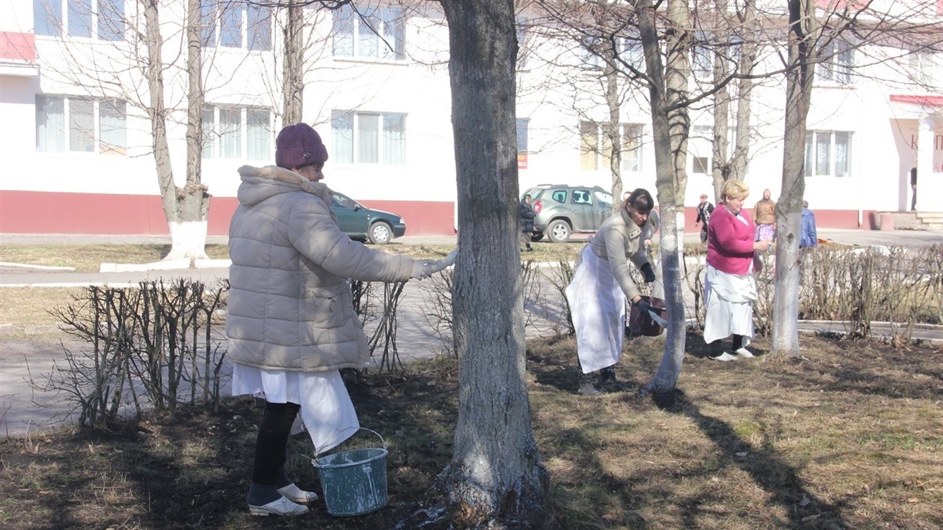 У районній лікарні білять, фарбують, підмітають, загрібають сухе листя - весняне прибирання