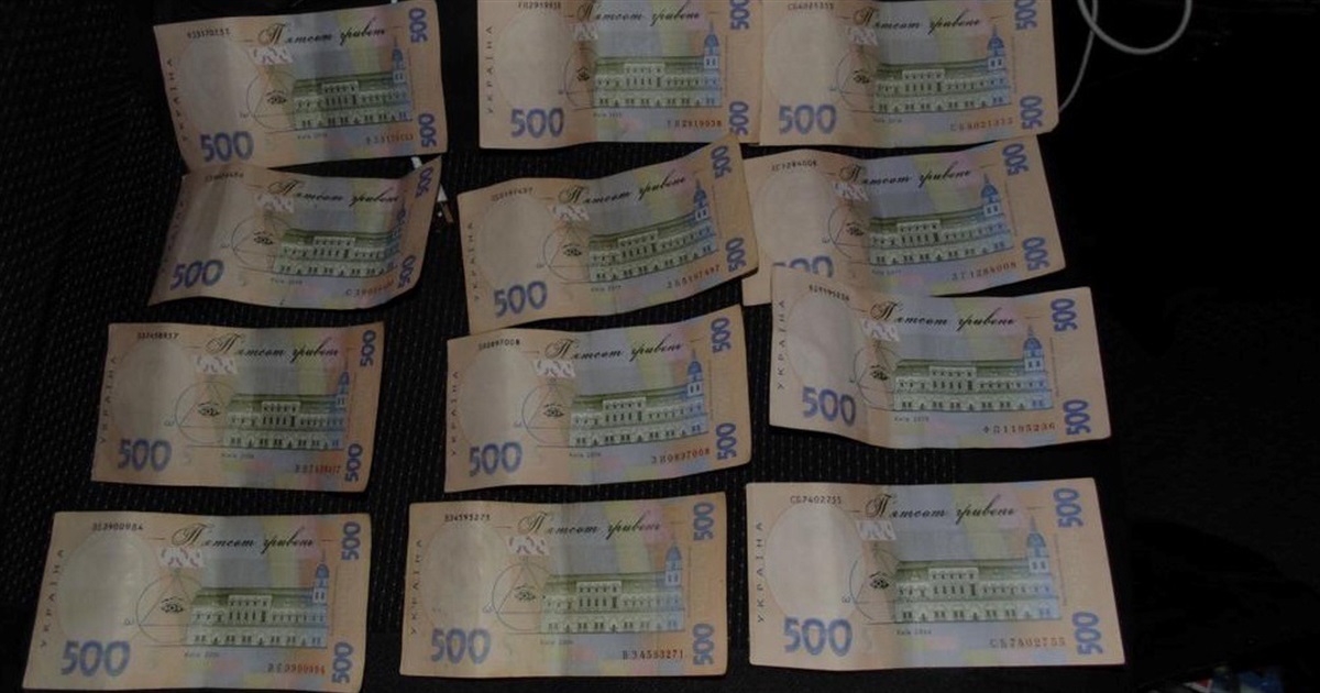 На Звягельщині водій невдало спробував відкупитися від поліцейських