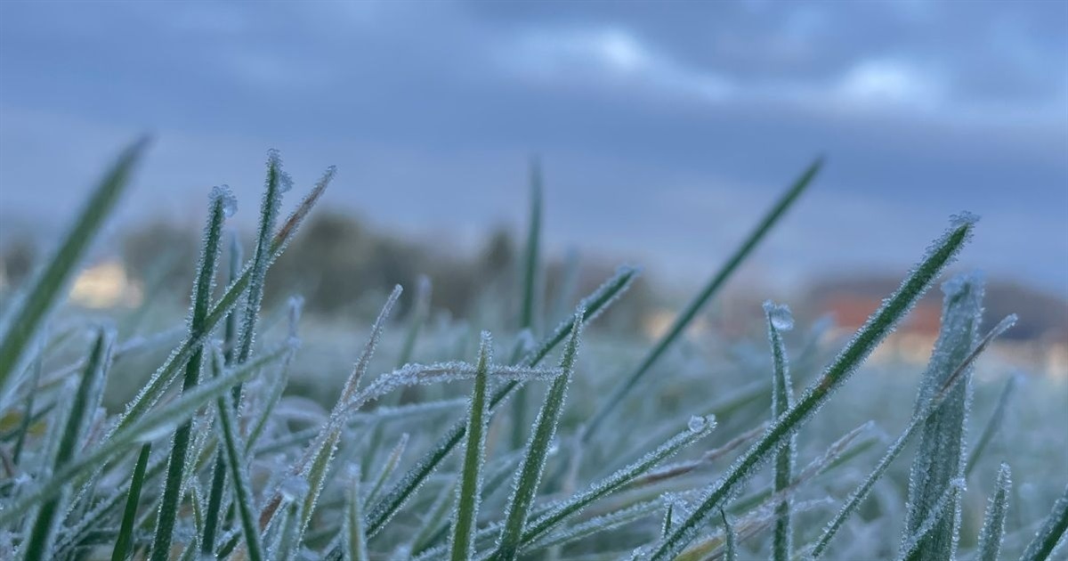 Заморозки на грунті та сильний вітер: яким буде синоптичний початок наступного тижня