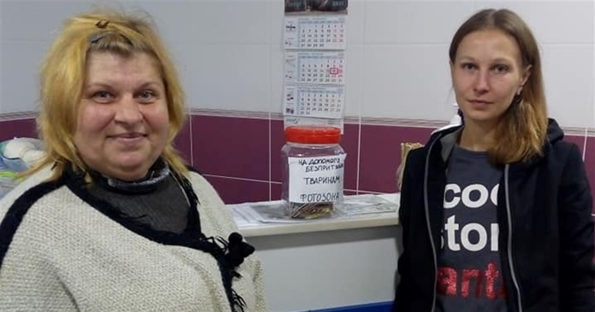 Тетяна Зайцева прихистила вдома 30 котів. Утримувати їх допомагають небайдужі