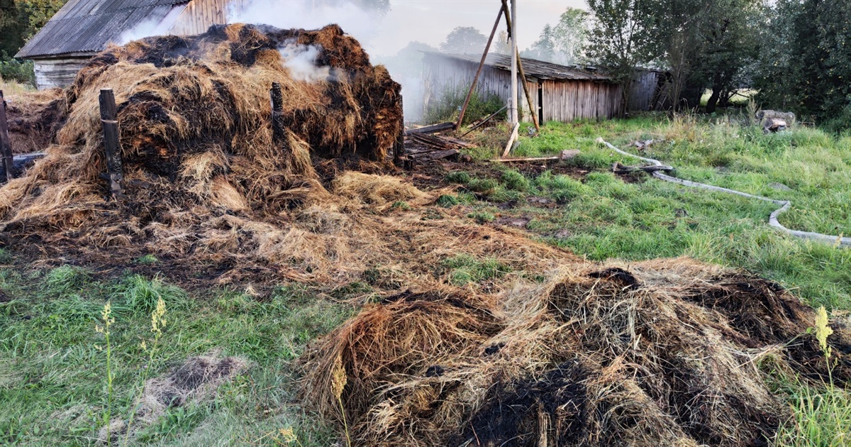 У Буді на Корюківщині онуки спалили бабусі тонну сіна