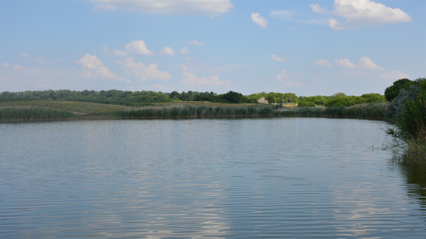 Водойма живе поки потрібна людям: як житель села на Сватівщині впорядкував ставок для людей