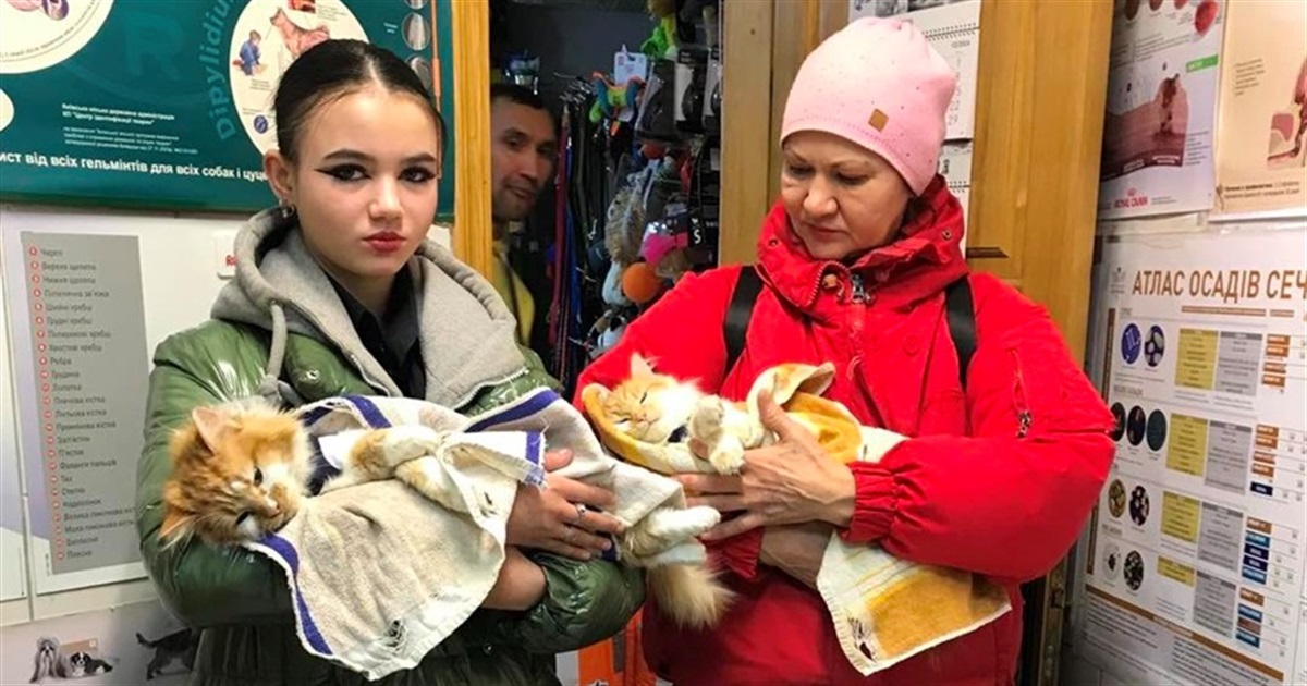 Ветклініка "Айболіт" стерилізувала близько пів сотні тварин: скільки на операції виділила міськрада?