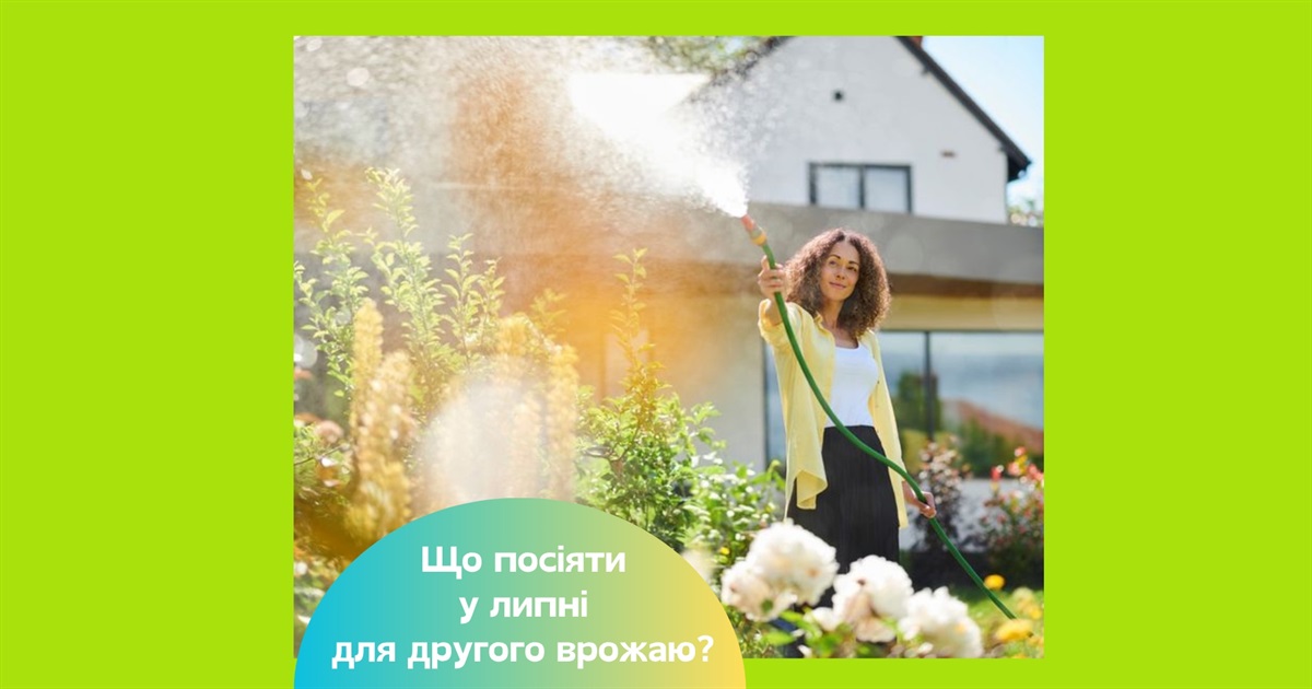 Посівний календар на липень 2025: коли можна ще раз посіяти овочі для другого врожаю