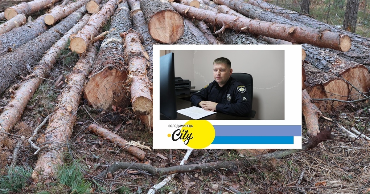Три кримінальні провадження і 64 кубів лісу вилучено - інцидент у довговільському лісі. Дані поліції