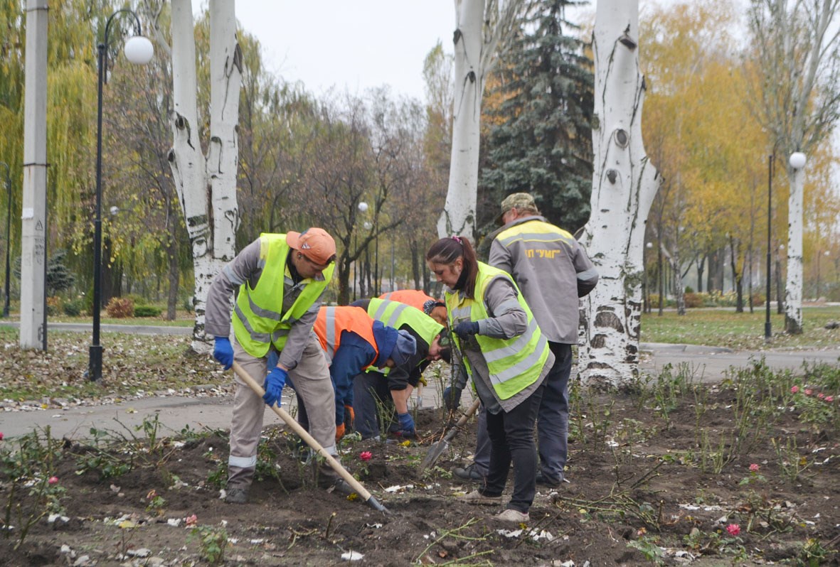 Троянд у Покровську стає все більше
