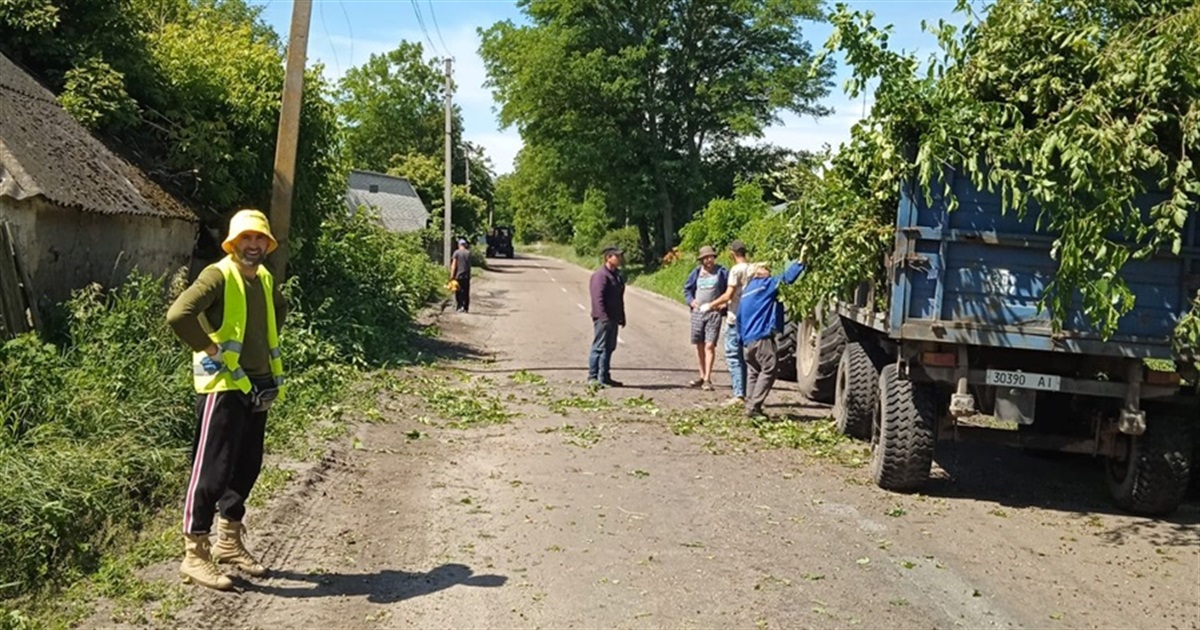 Літній доброустрій у громаді Переяславщини: комунальники обрізали дерева і косили траву
