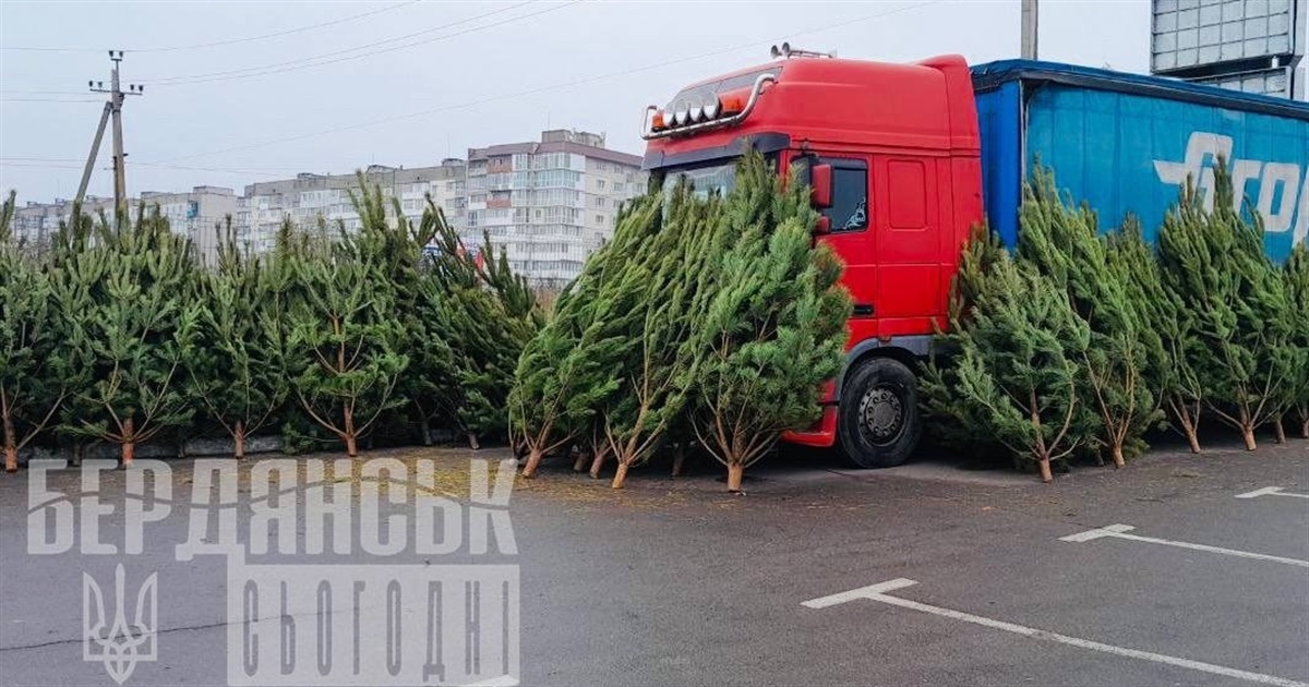 Скільки коштуватиме прикрасити оселю до Різдва та Нового року в окупованому Бердянську