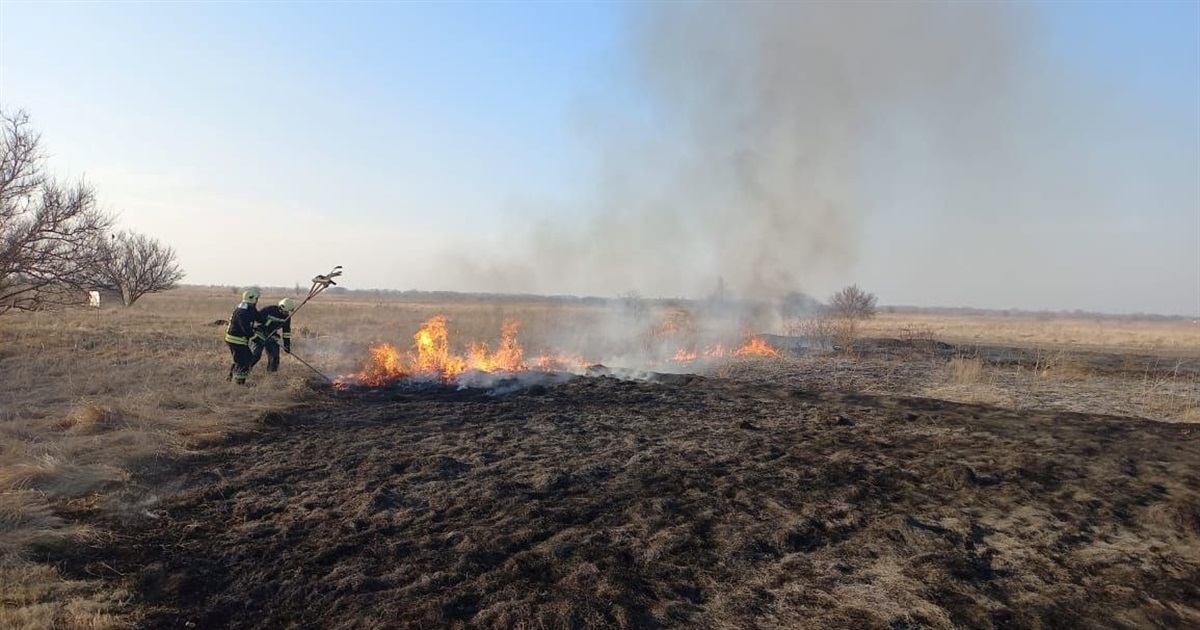 На Переяславщині за добу сталися одинадцять пожеж, горіла суха трава ФОТО