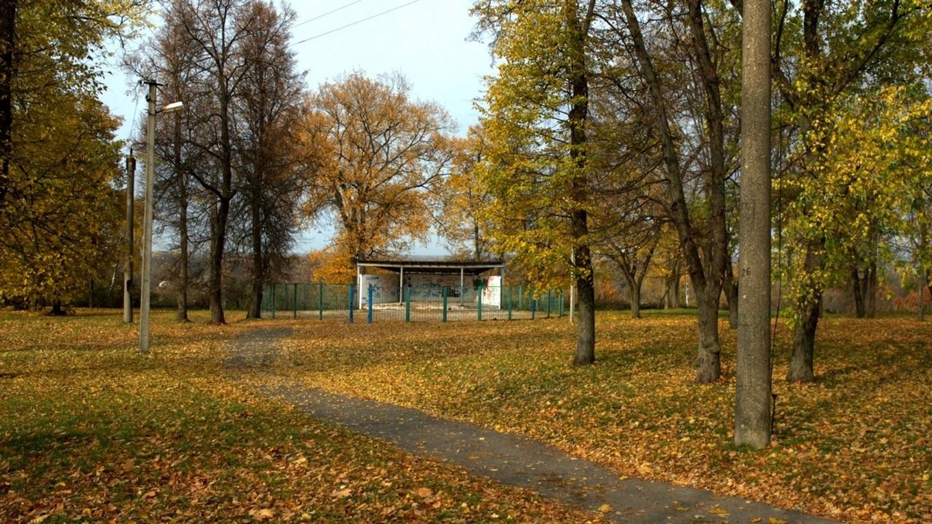 Найближчими днями буде вітряно. Яку погоду обіцяють синоптики?